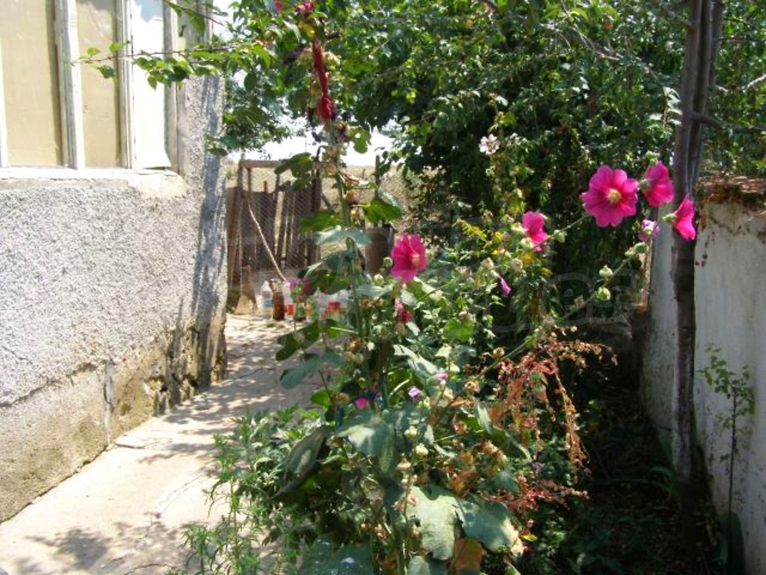 Gallery Picture 11