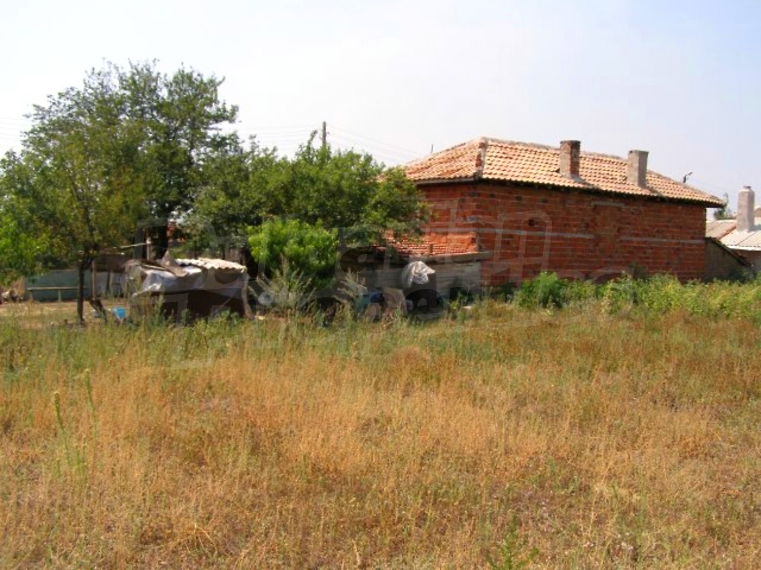Gallery Picture 18