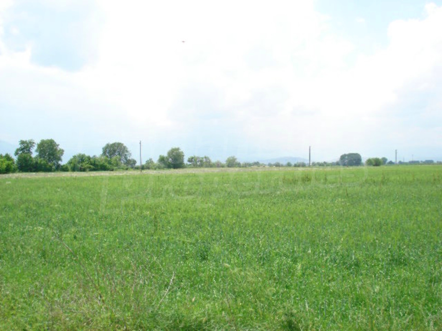 Gallery Picture 3