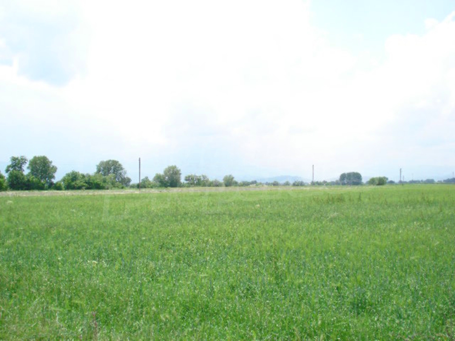 Gallery Picture 5