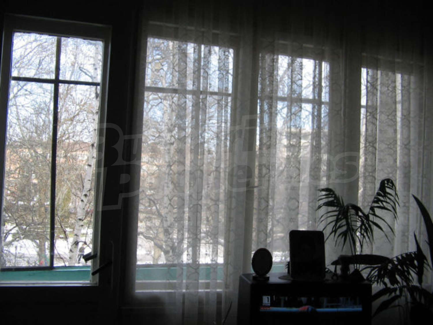 Gallery Picture 16