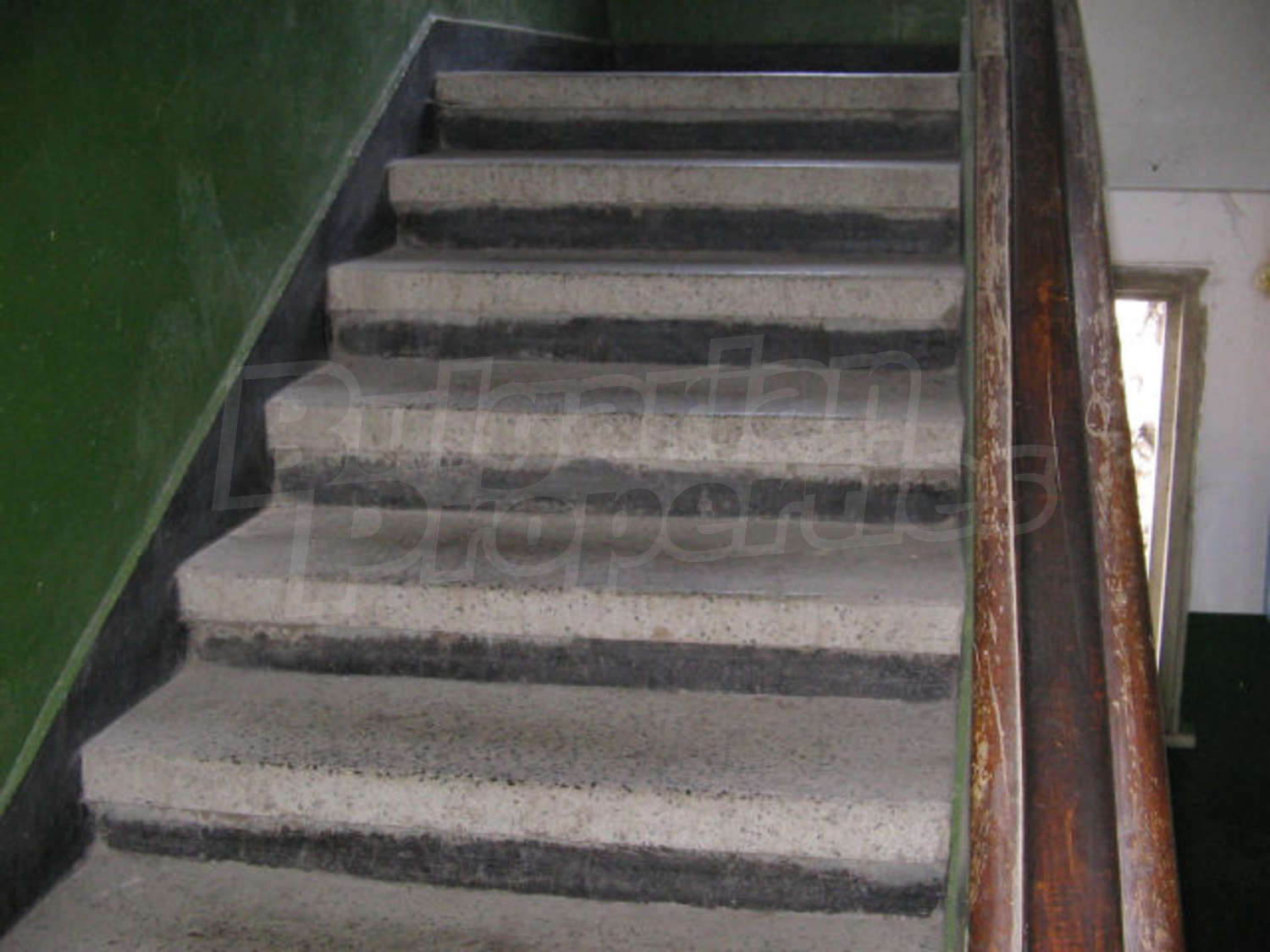 Gallery Picture 19