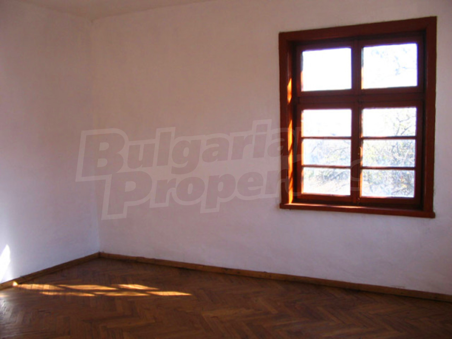 Gallery Picture 11