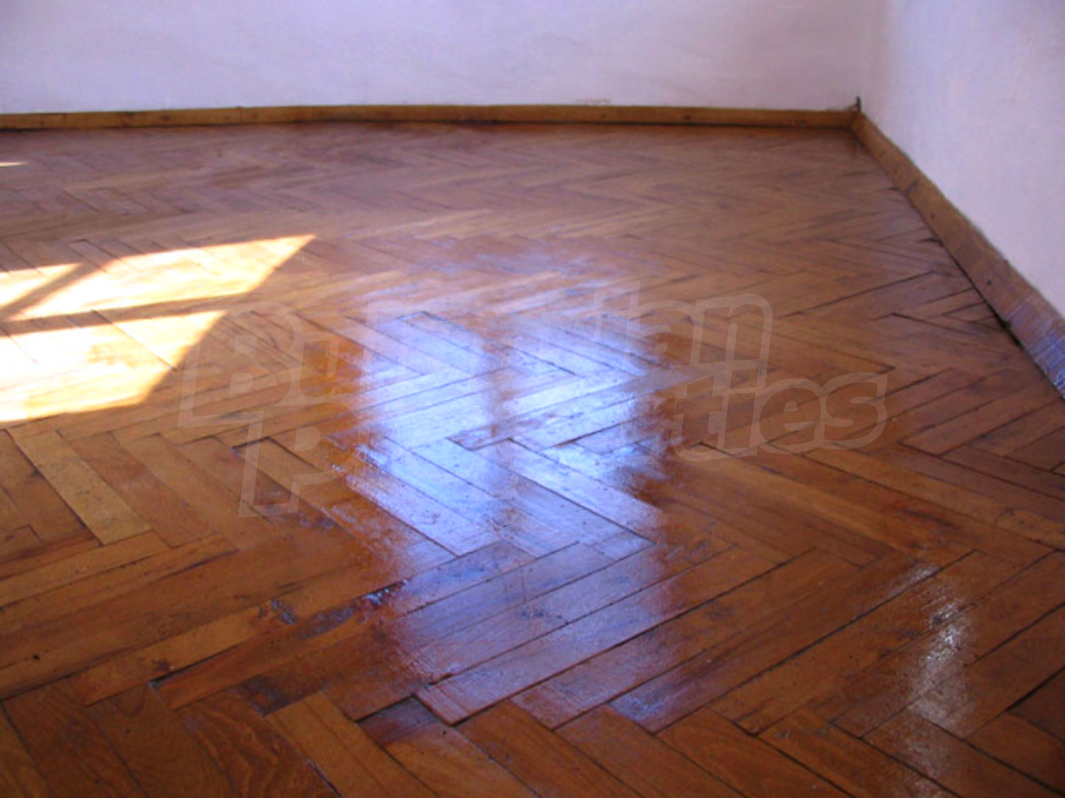 Gallery Picture 6
