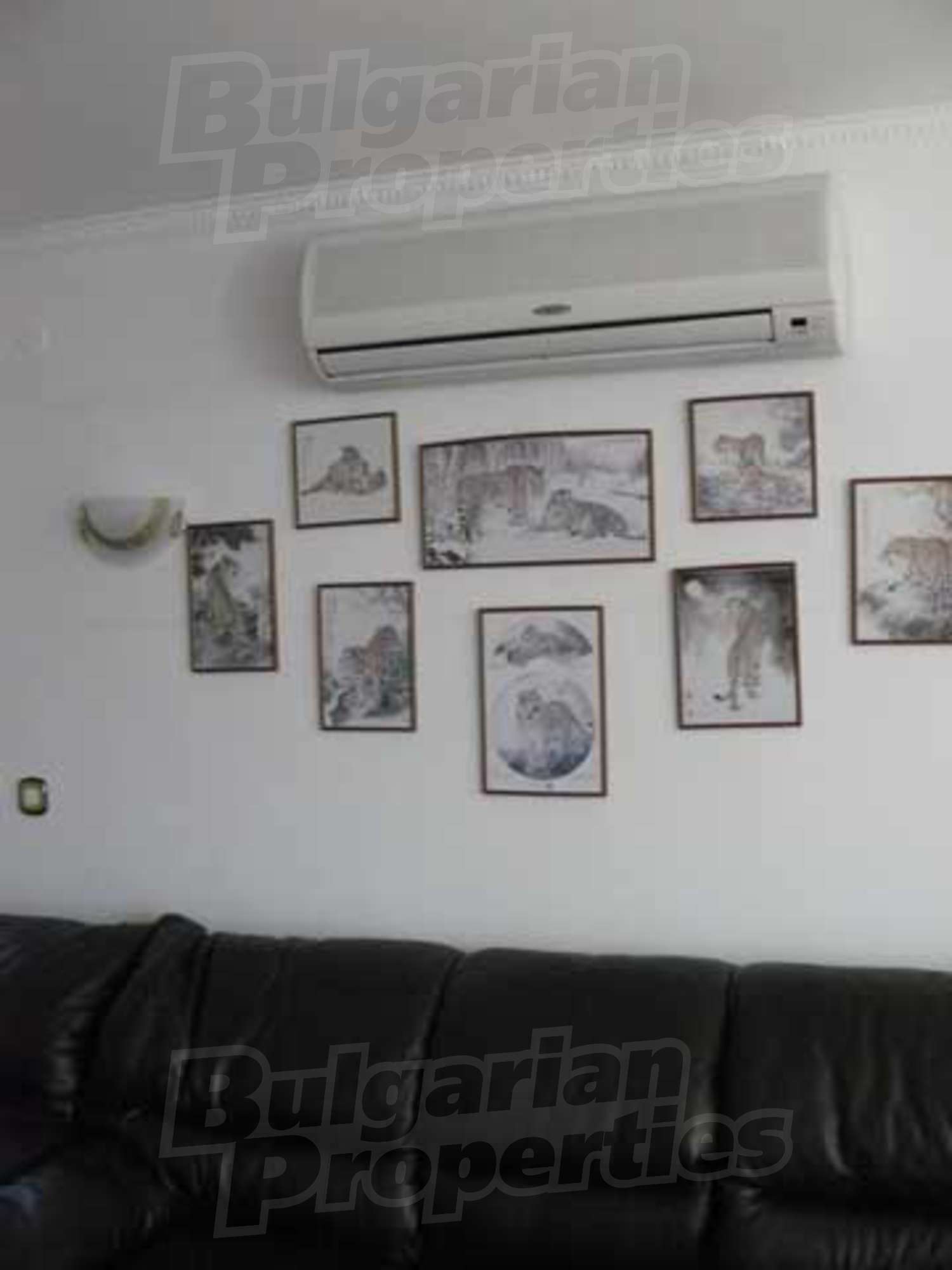 Gallery Picture 4