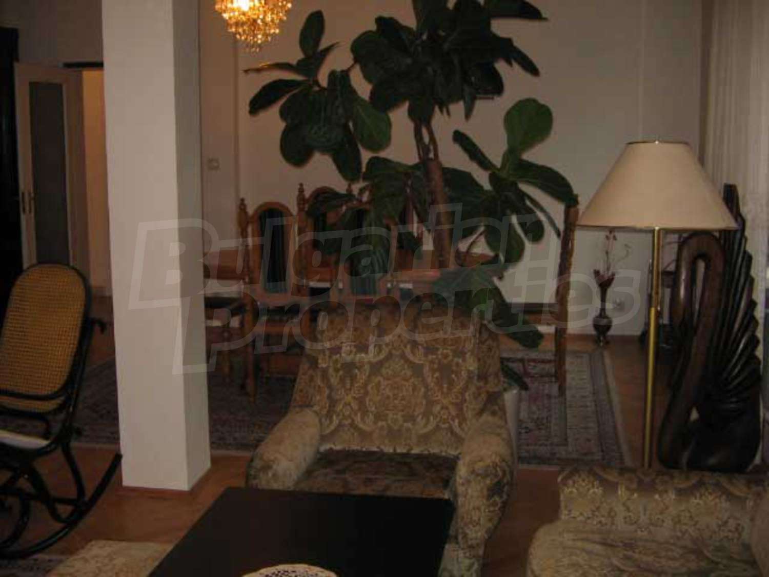 Gallery Picture 7