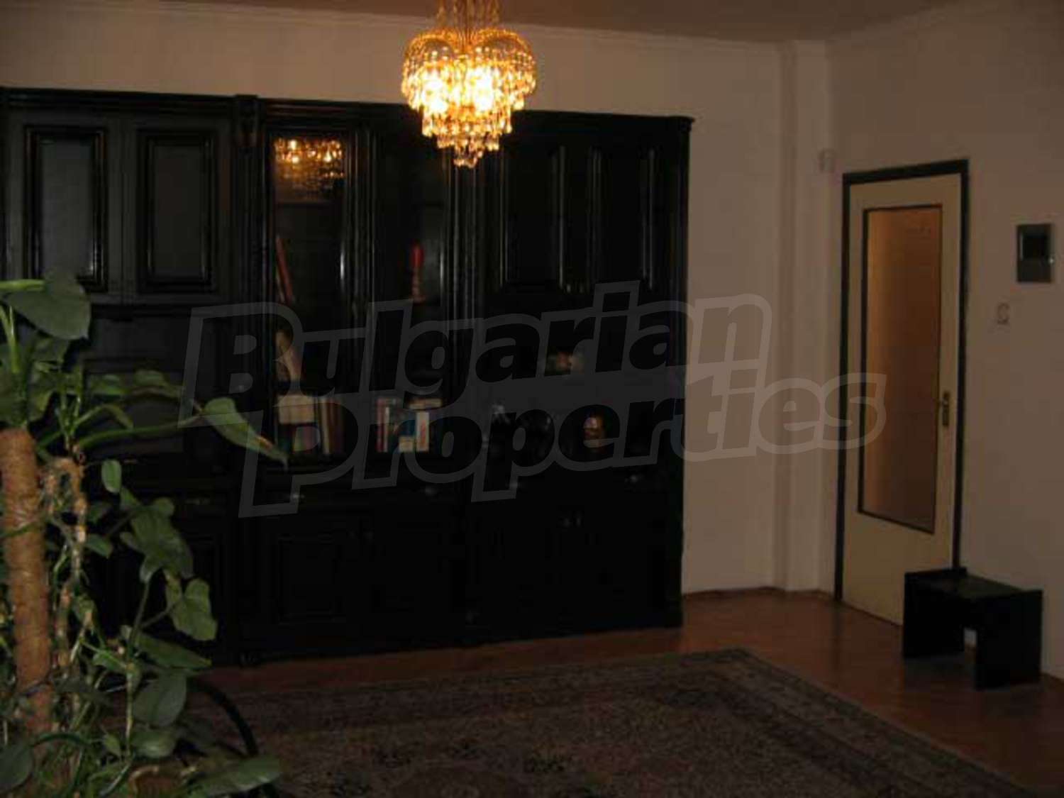 Gallery Picture 8