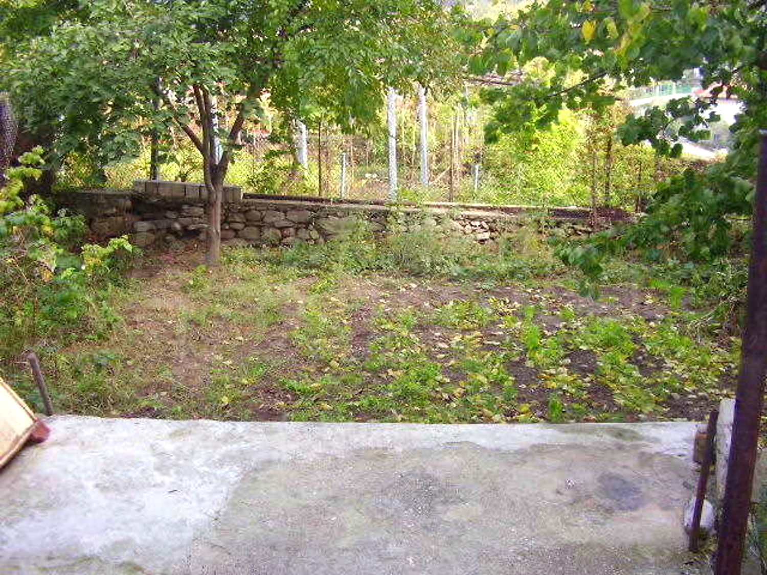 Gallery Picture 15
