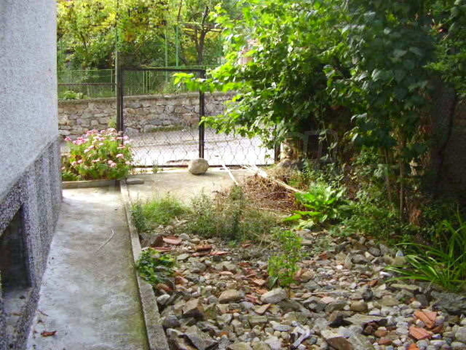 Gallery Picture 16