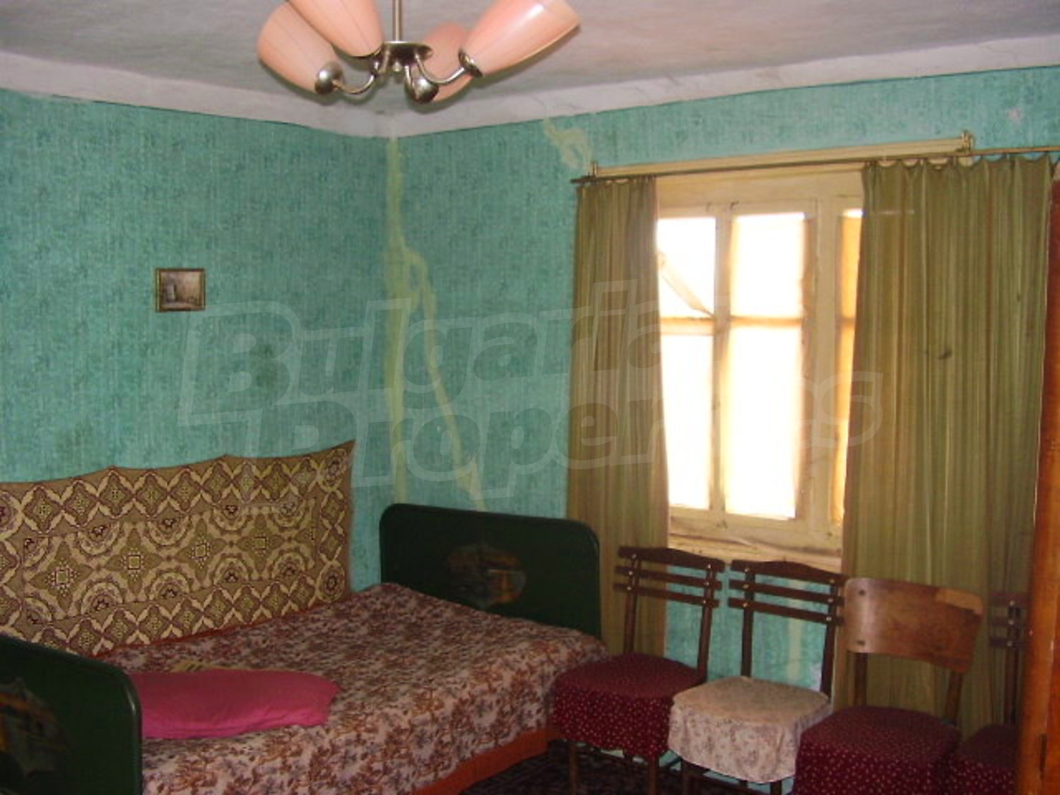 Gallery Picture 5