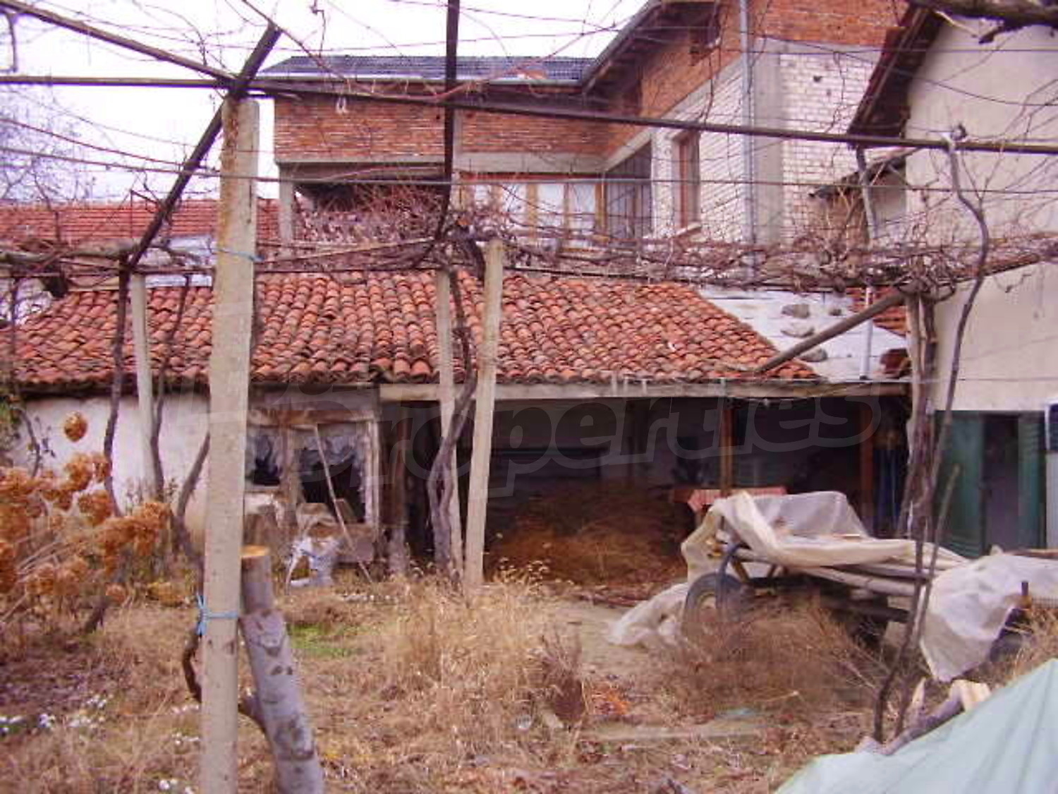 Gallery Picture 7