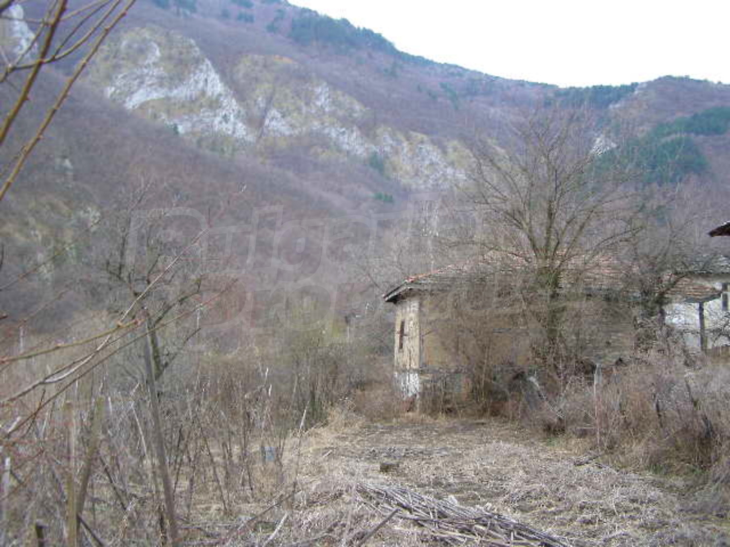 Gallery Picture 10