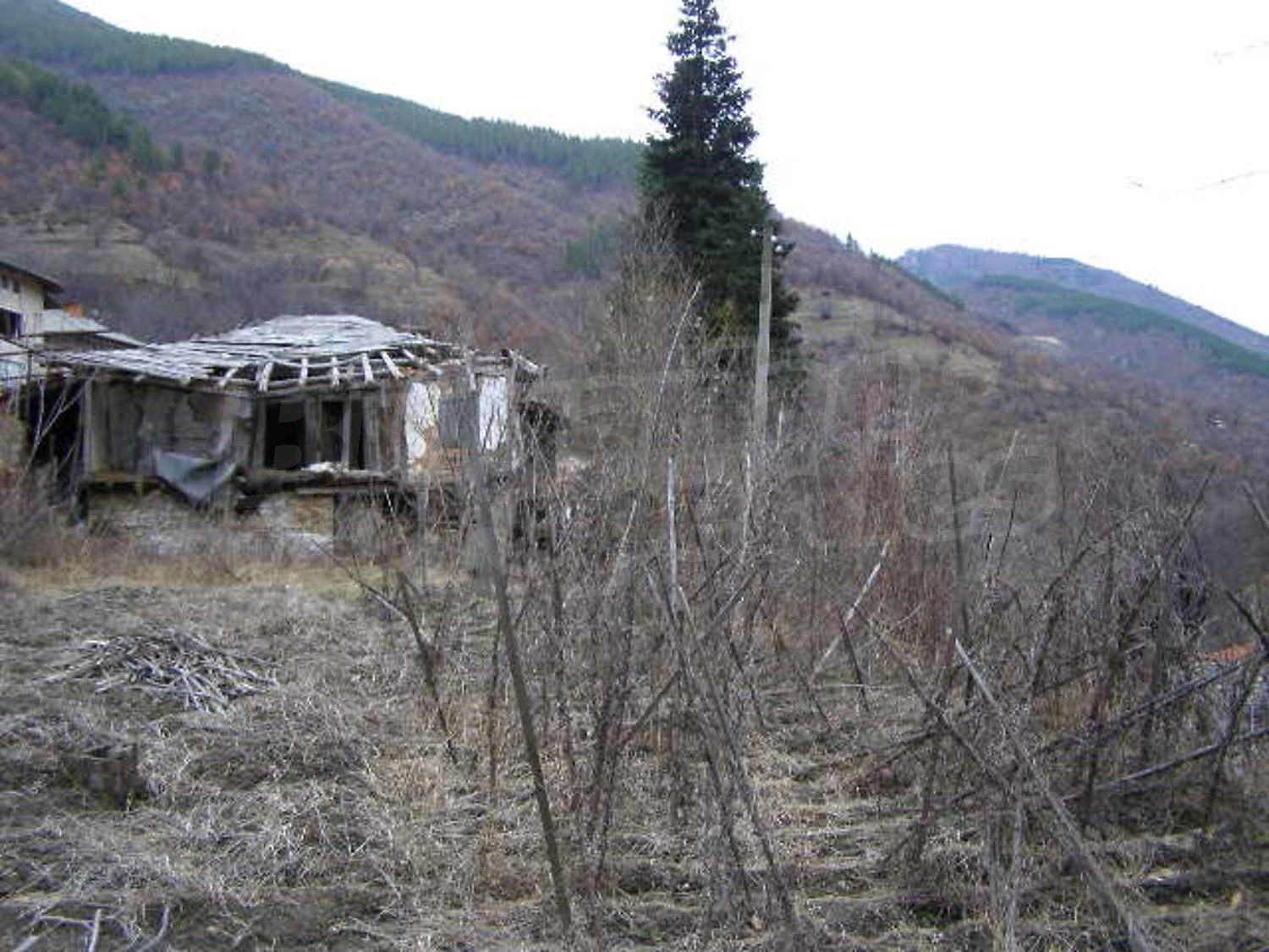 Gallery Picture 11
