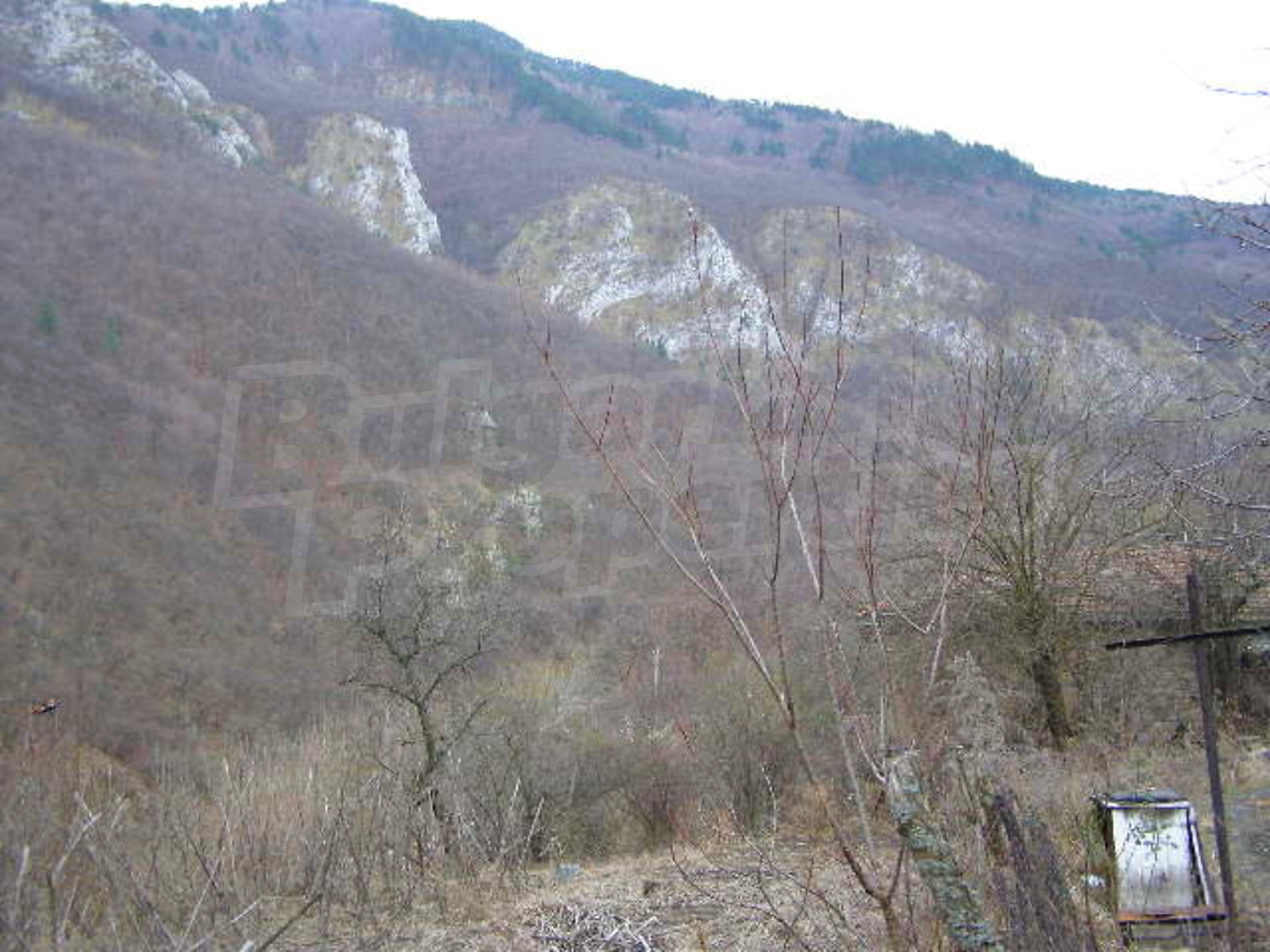 Gallery Picture 14