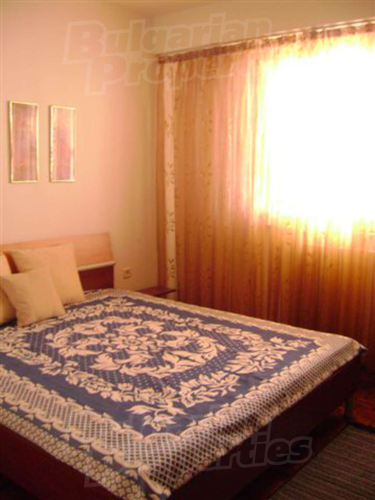 Gallery Picture 12