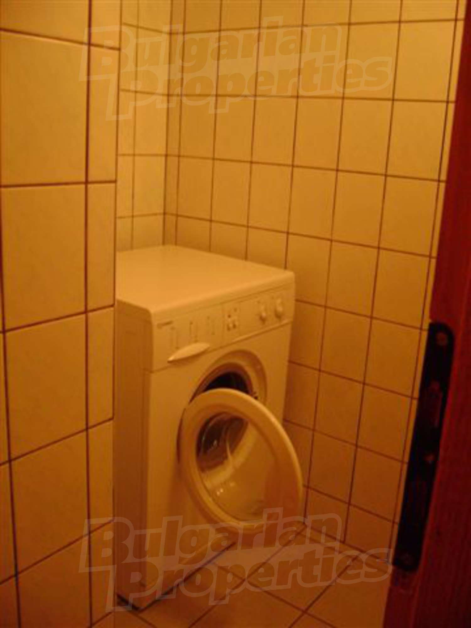 Gallery Picture 16