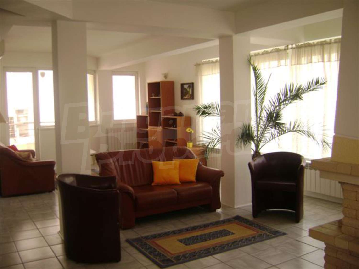 Gallery Picture 5