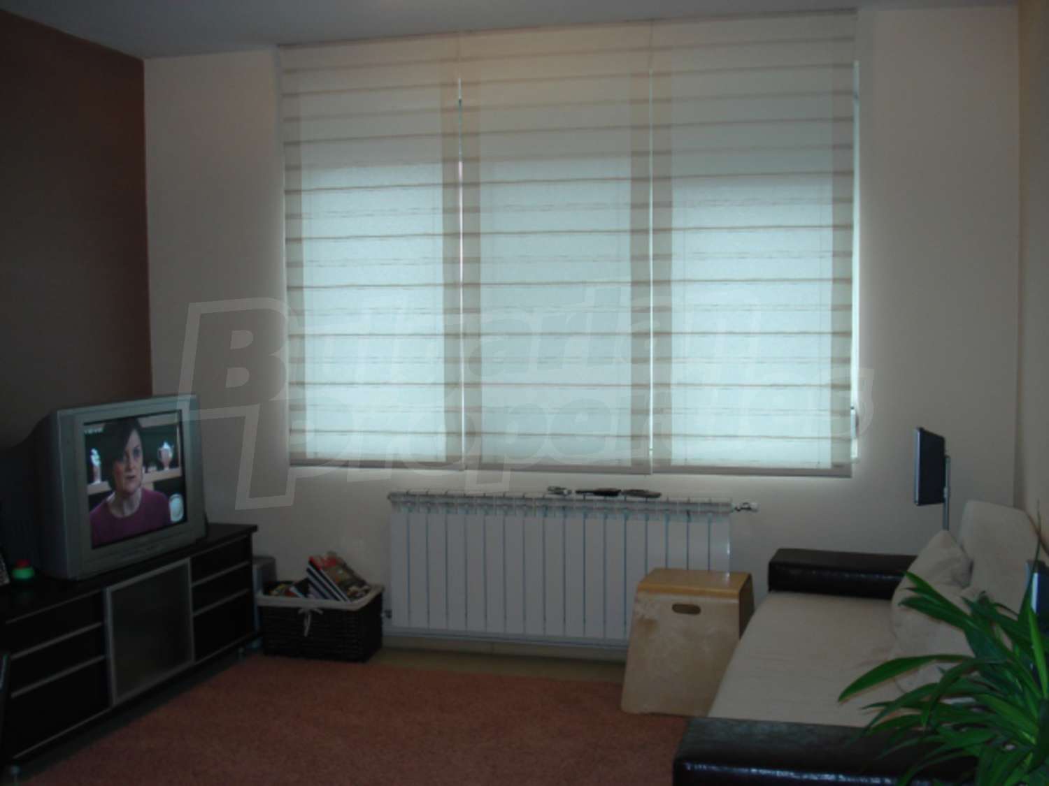 Gallery Picture 7