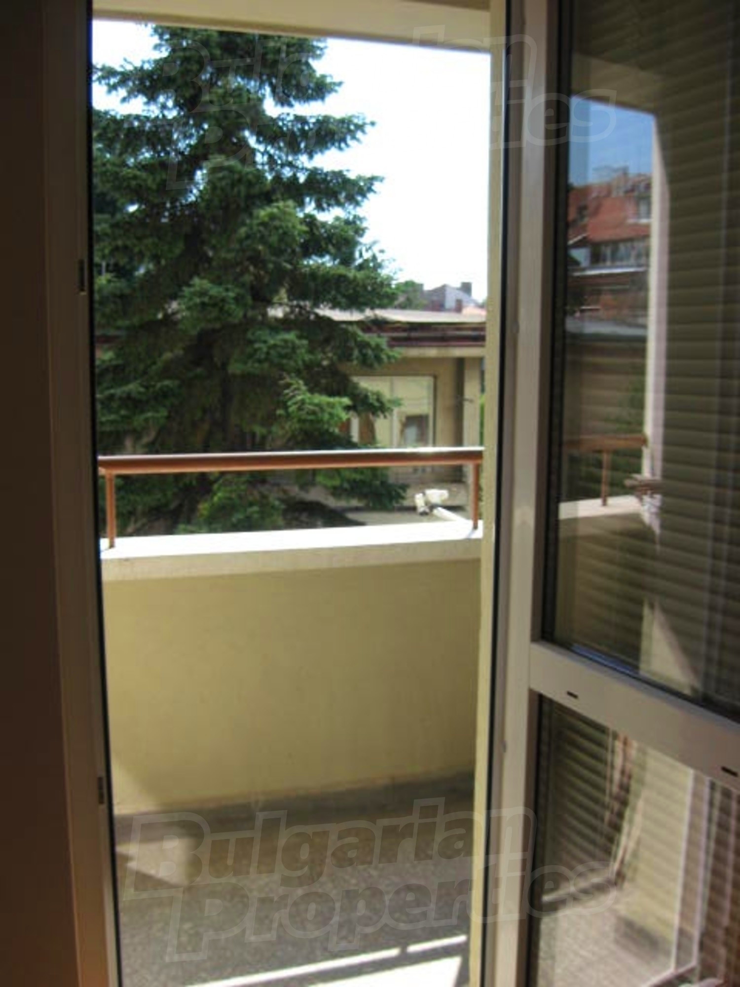 Gallery Picture 10