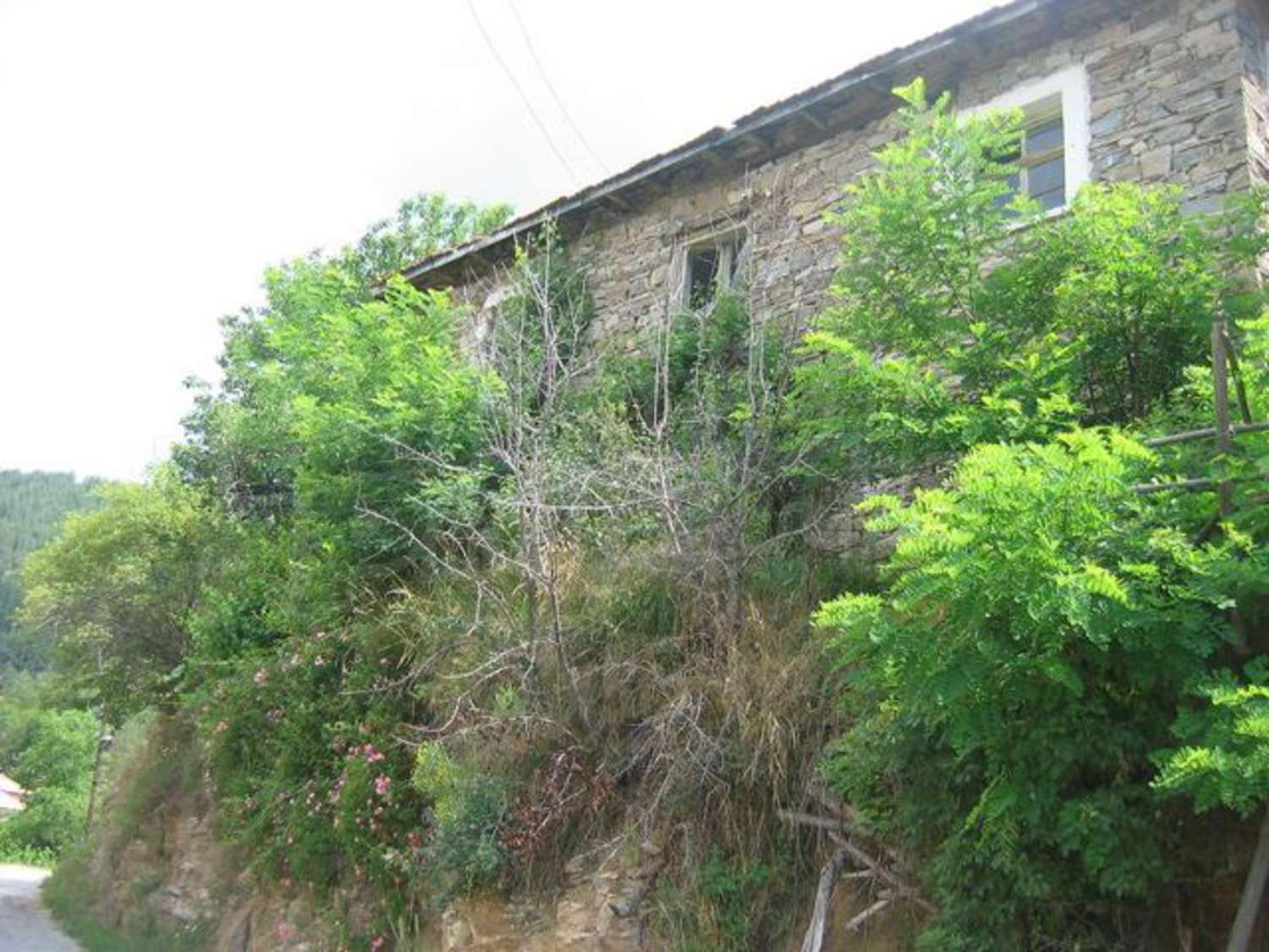 Gallery Picture 5