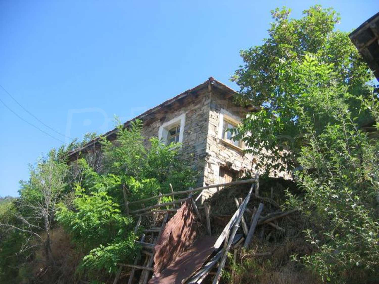 Gallery Picture 6