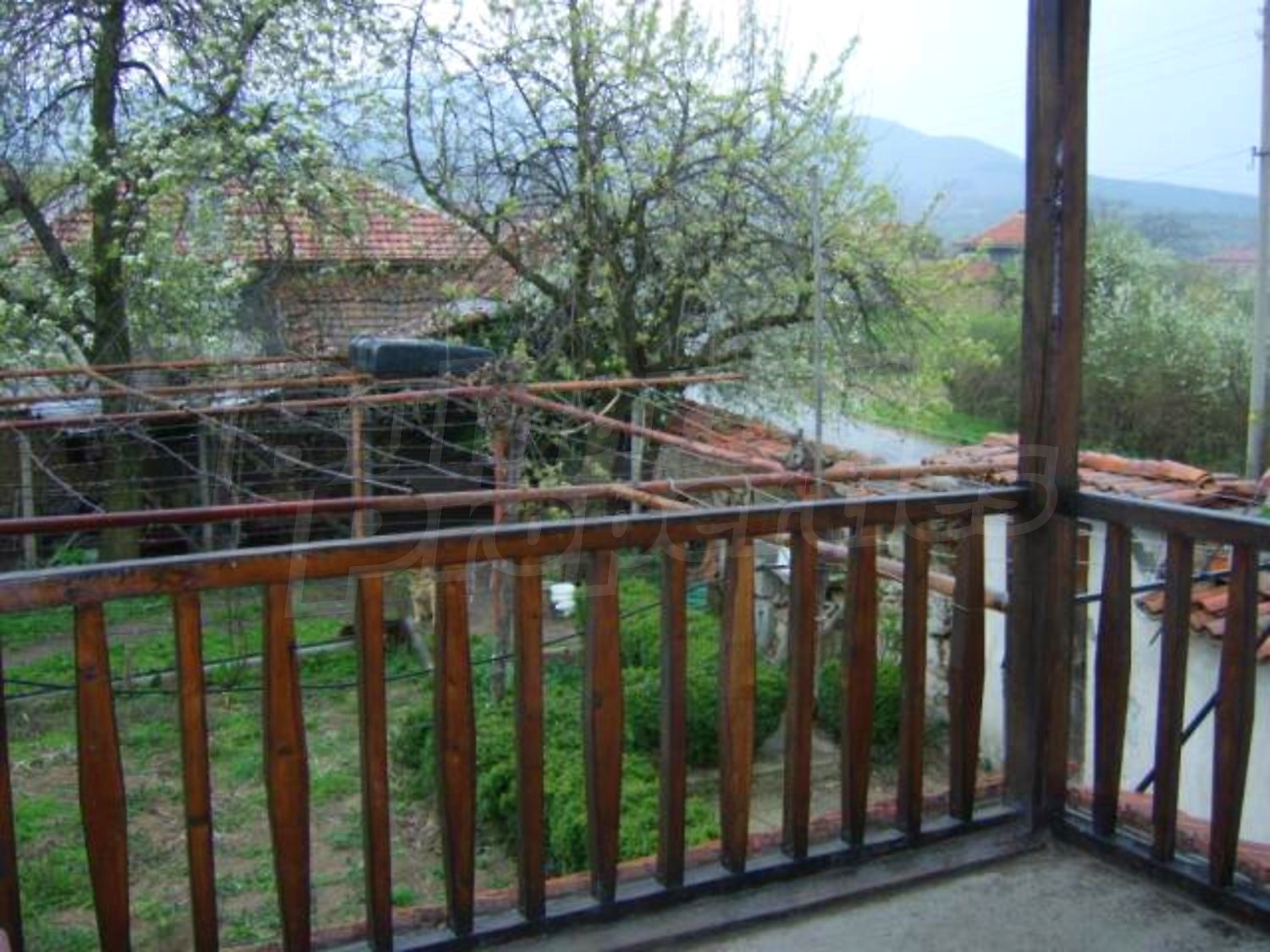 Gallery Picture 18
