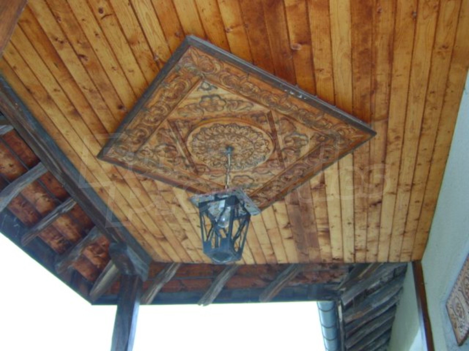 Gallery Picture 19