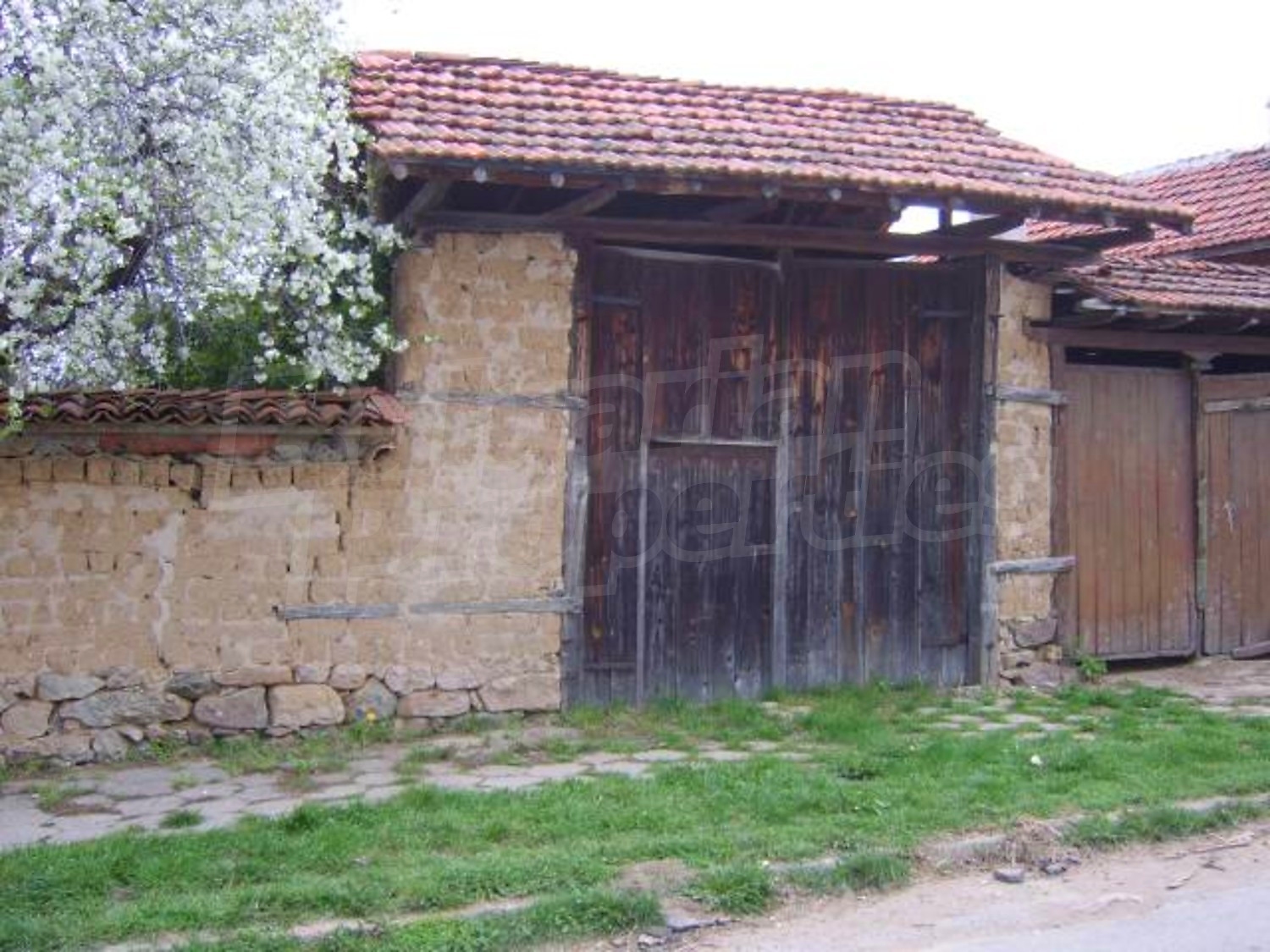 Gallery Picture 24