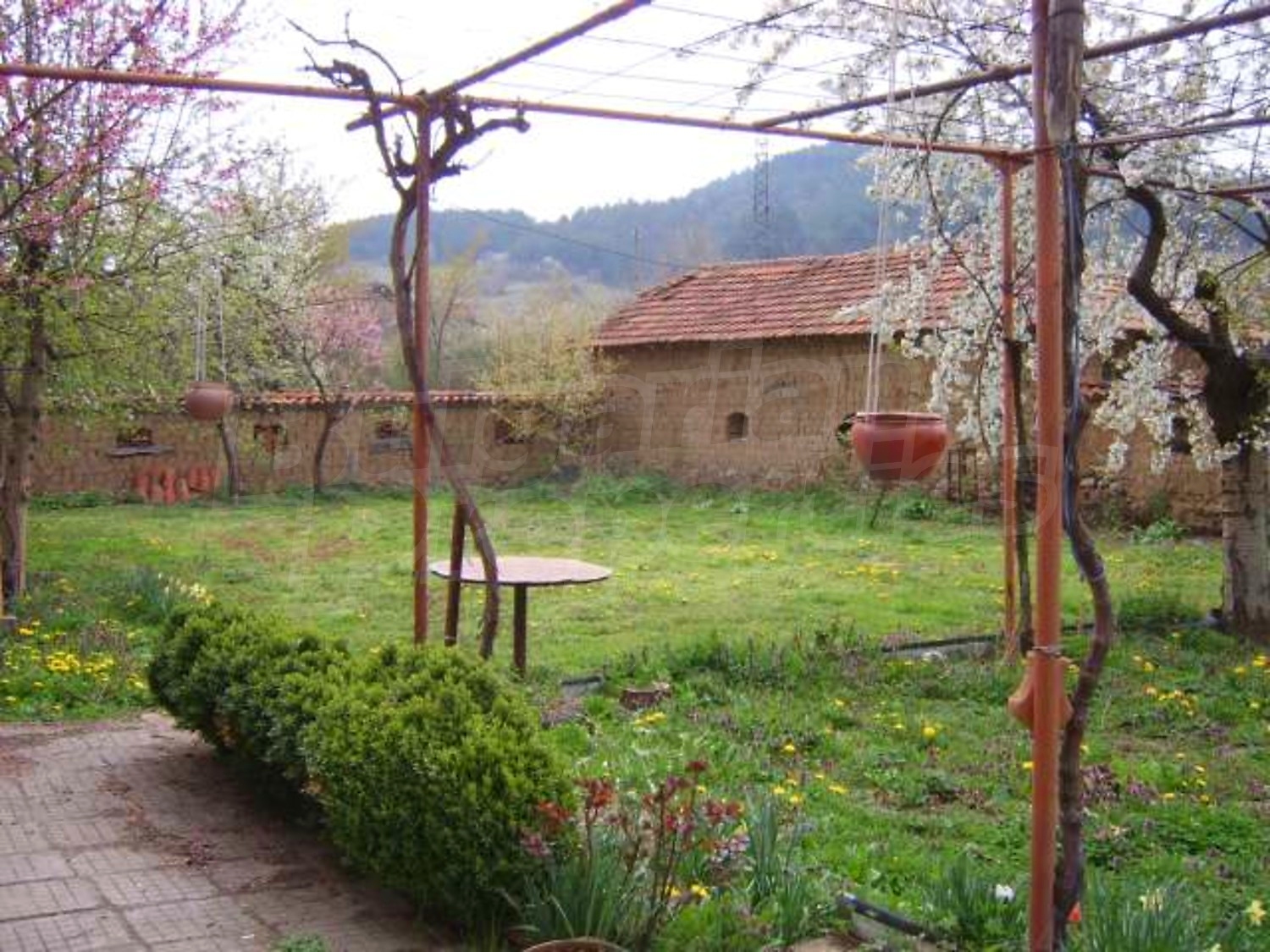Gallery Picture 26