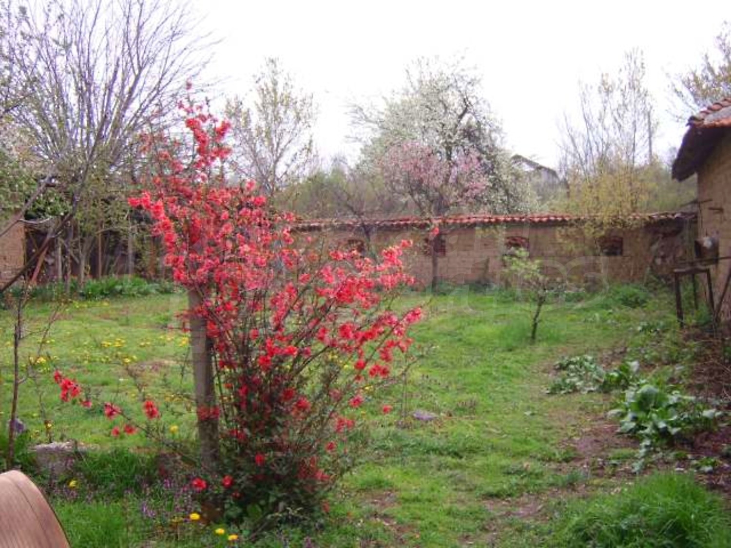 Gallery Picture 28