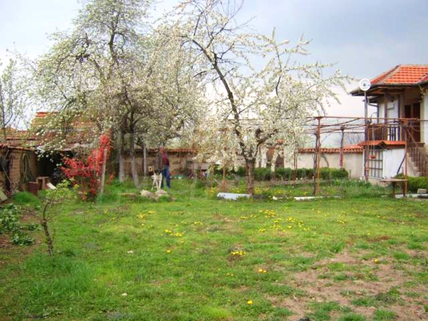 Gallery Picture 29