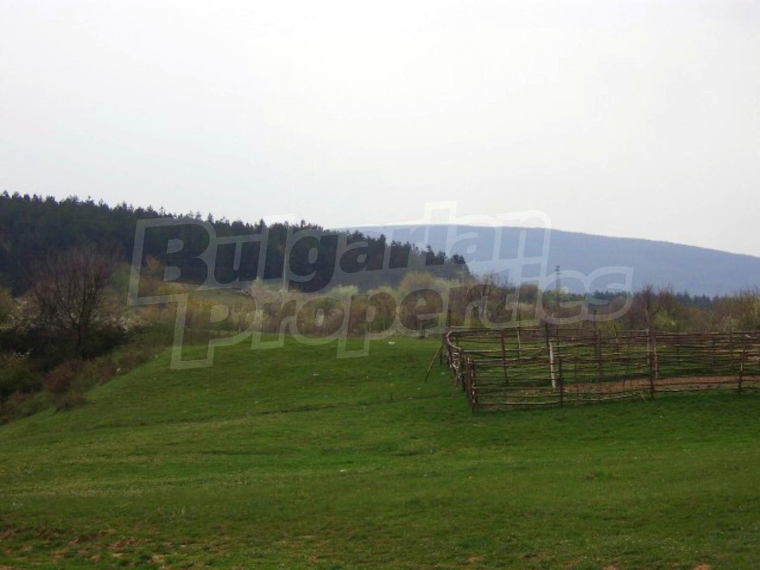 Gallery Picture 31