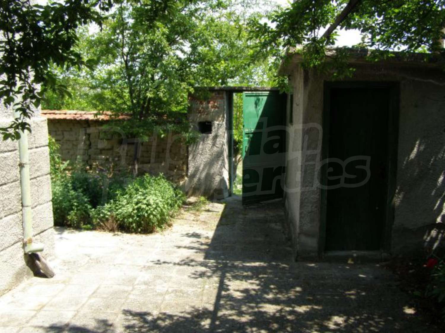 Gallery Picture 21