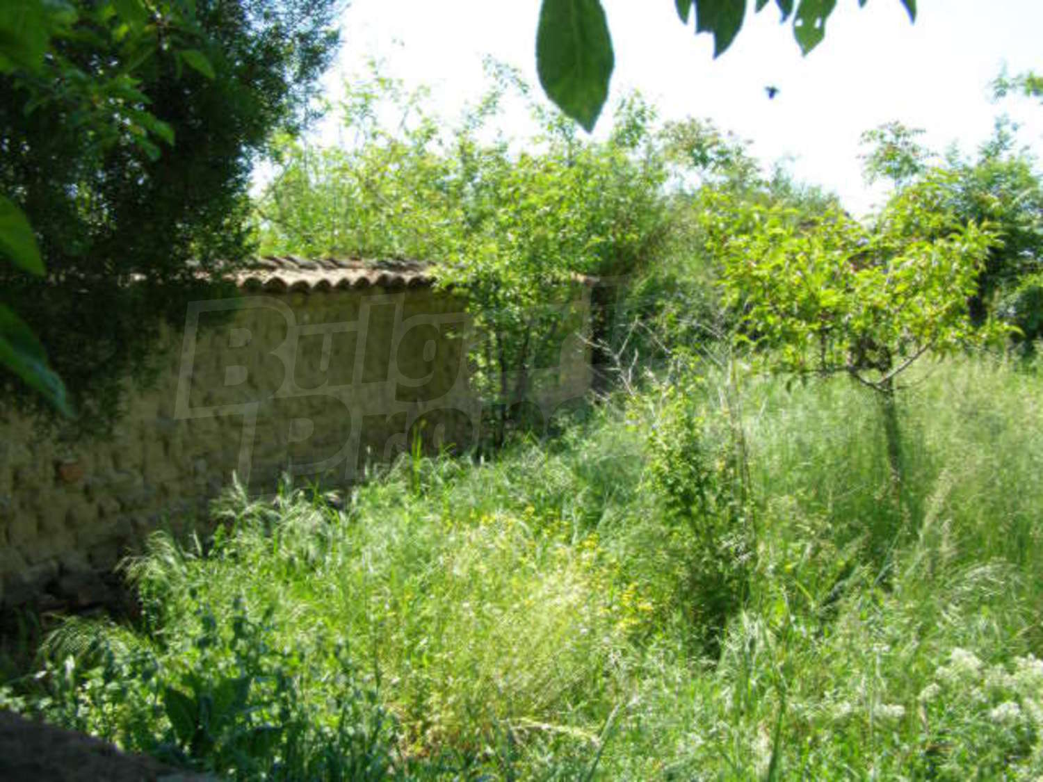 Gallery Picture 22