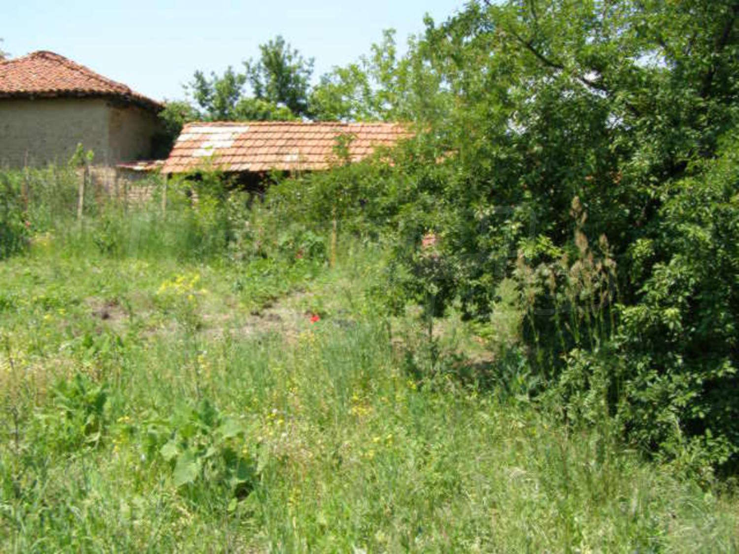 Gallery Picture 24