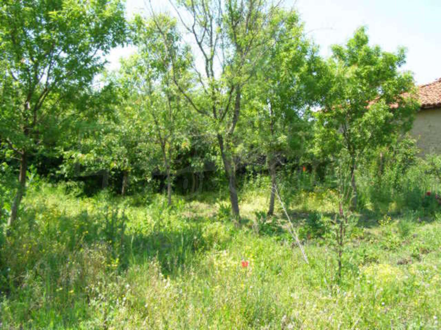 Gallery Picture 25
