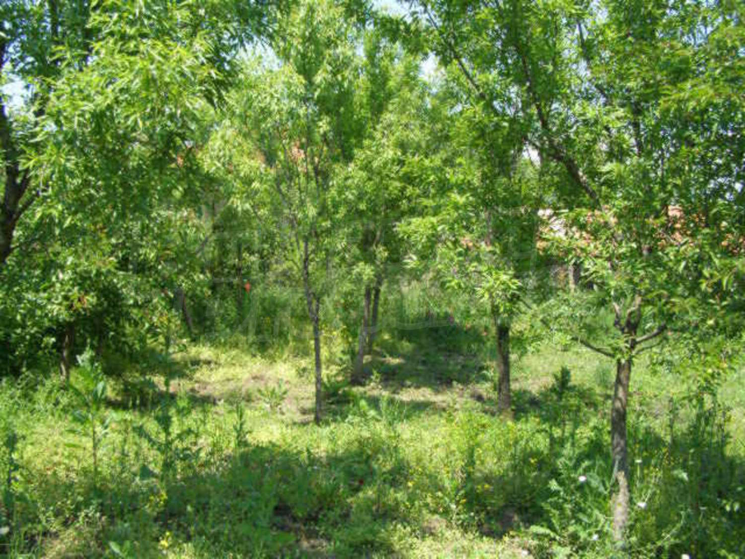 Gallery Picture 26