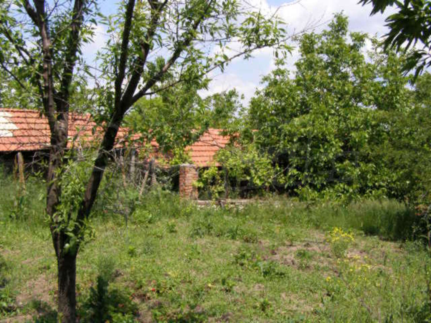 Gallery Picture 27