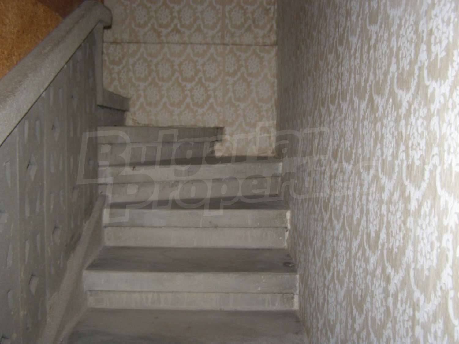 Gallery Picture 8