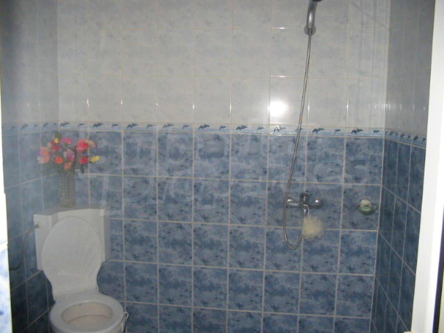 Gallery Picture 10