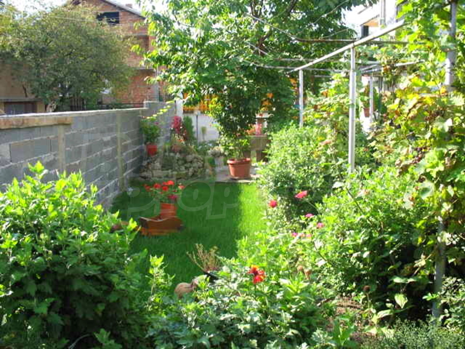 Gallery Picture 14