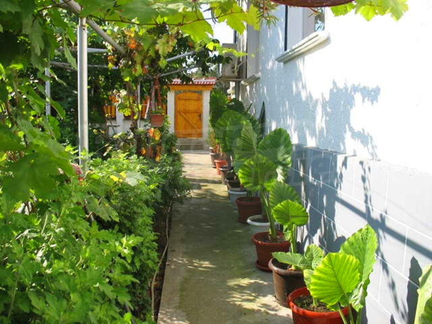 Gallery Picture 15