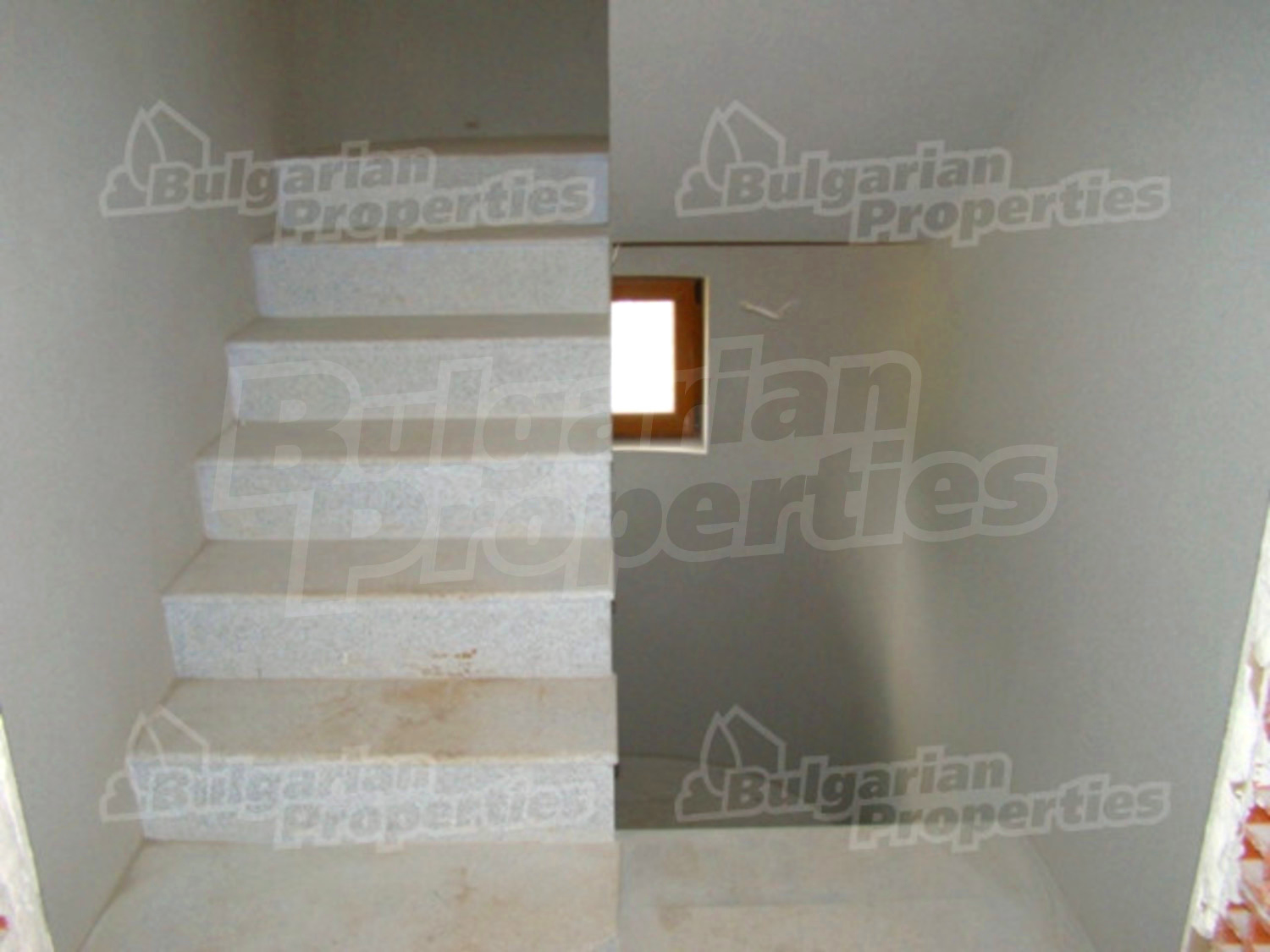 Gallery Picture 17