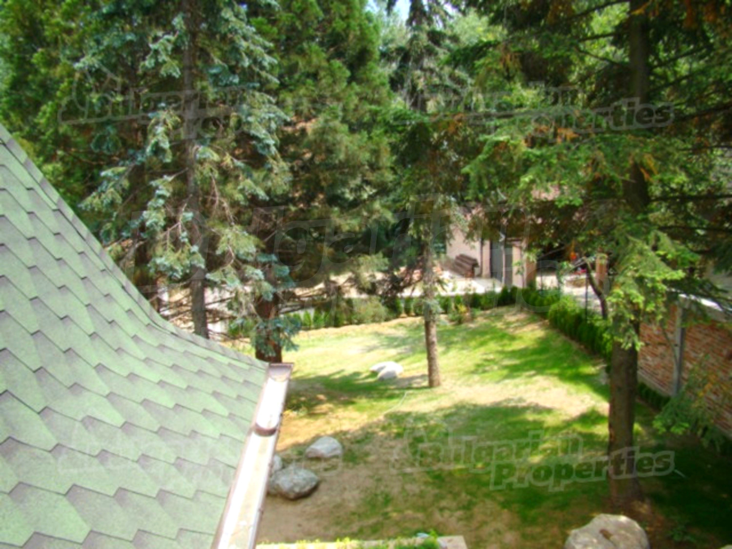 Gallery Picture 26