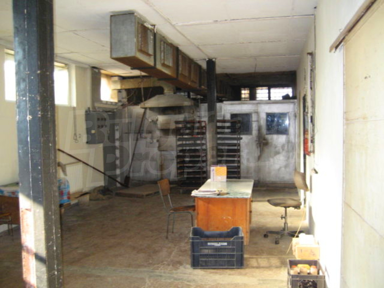 Gallery Picture 17