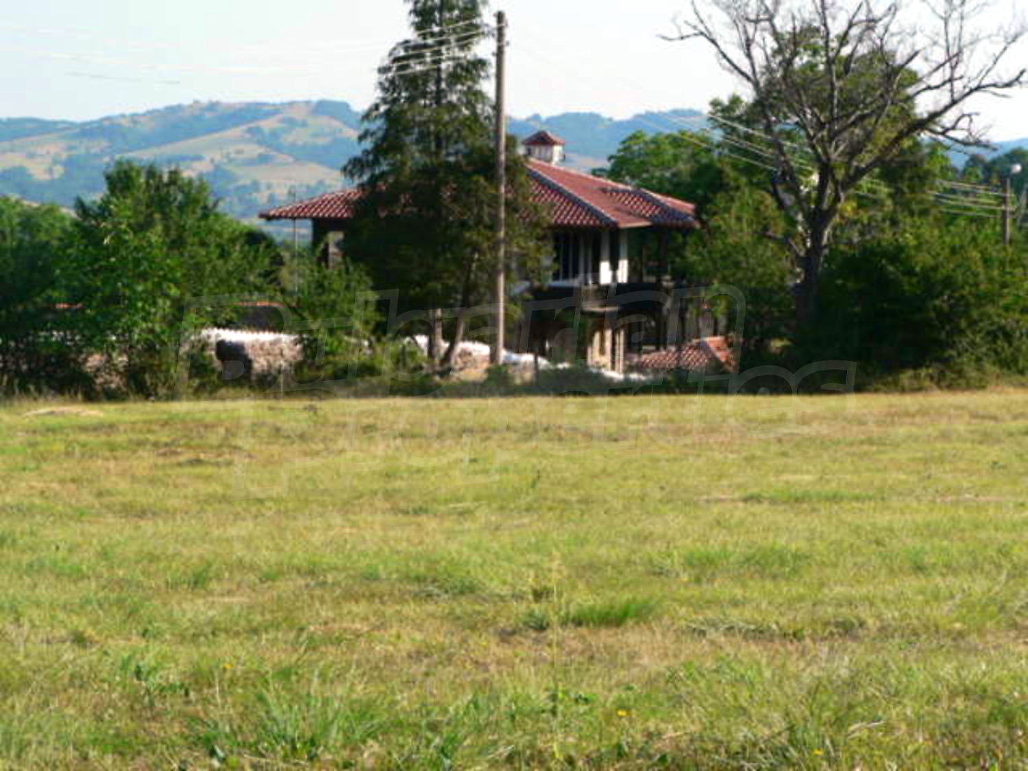 Gallery Picture 15