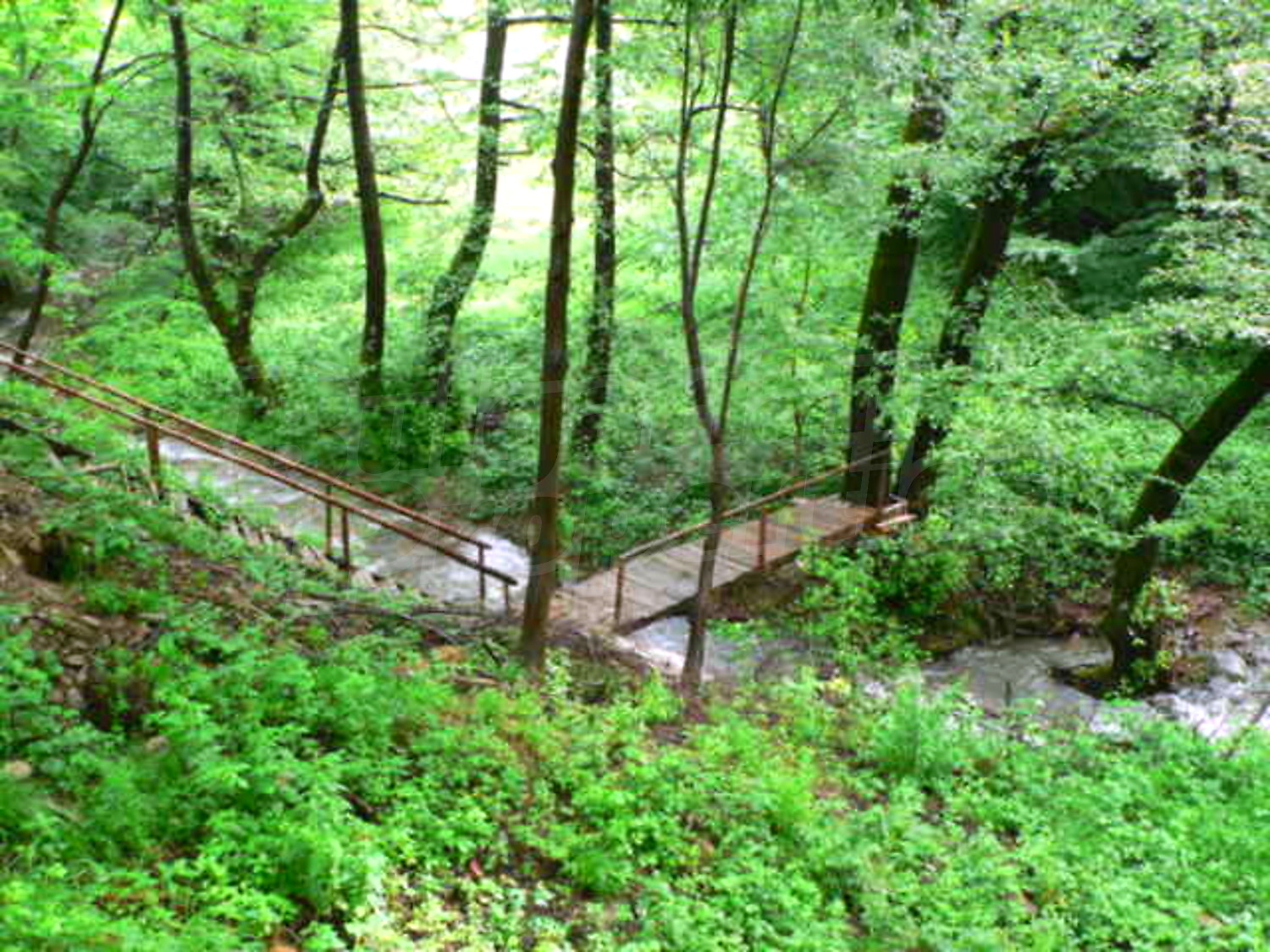 Gallery Picture 17