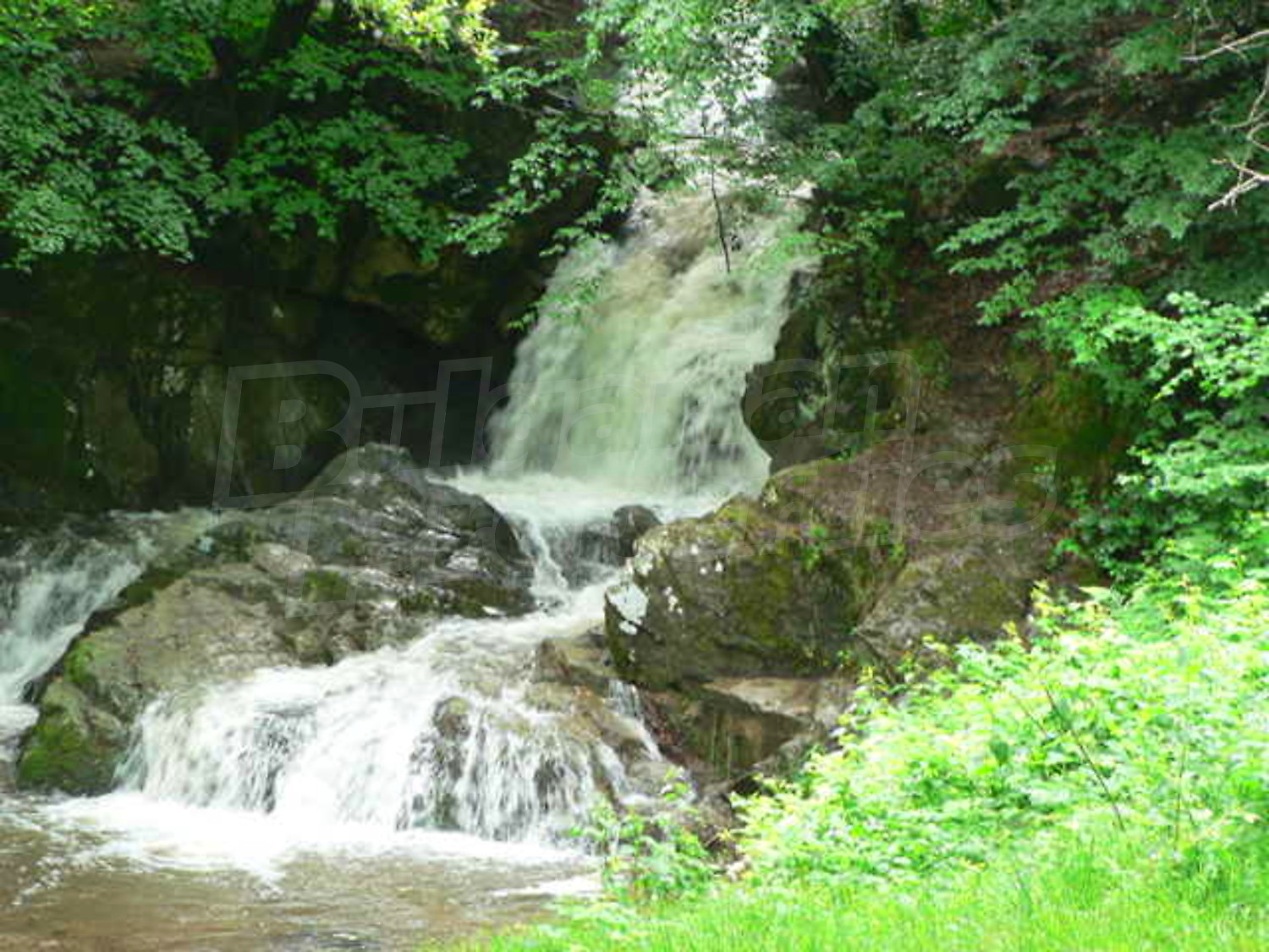Gallery Picture 19