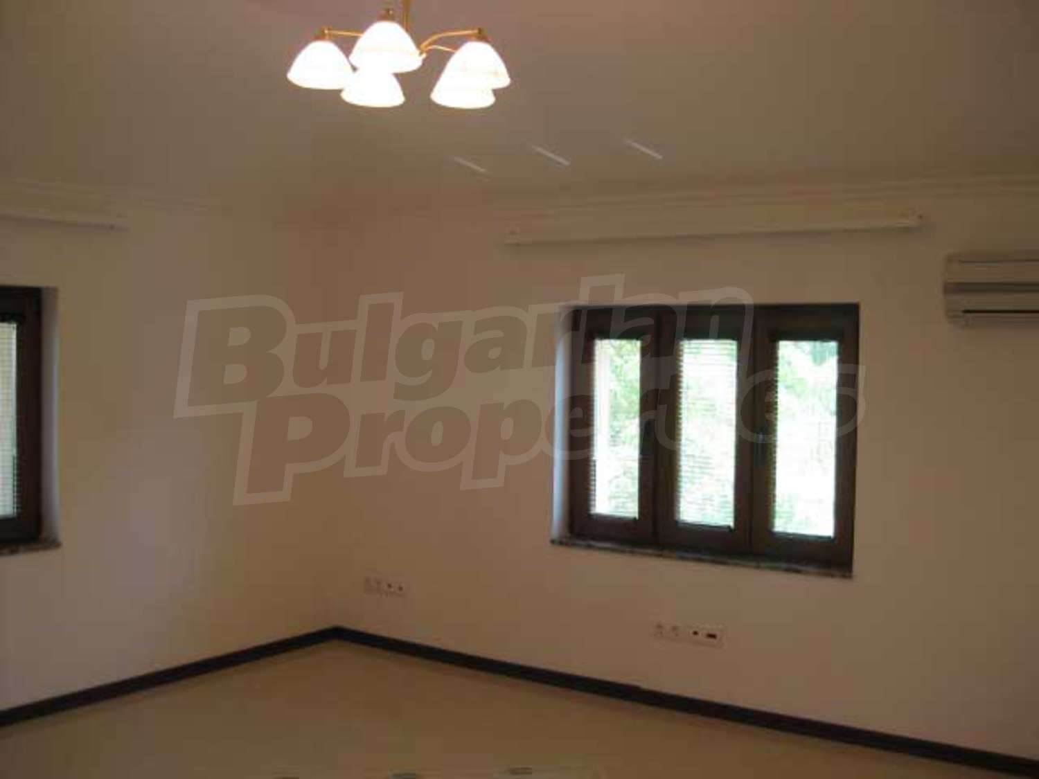 Gallery Picture 12