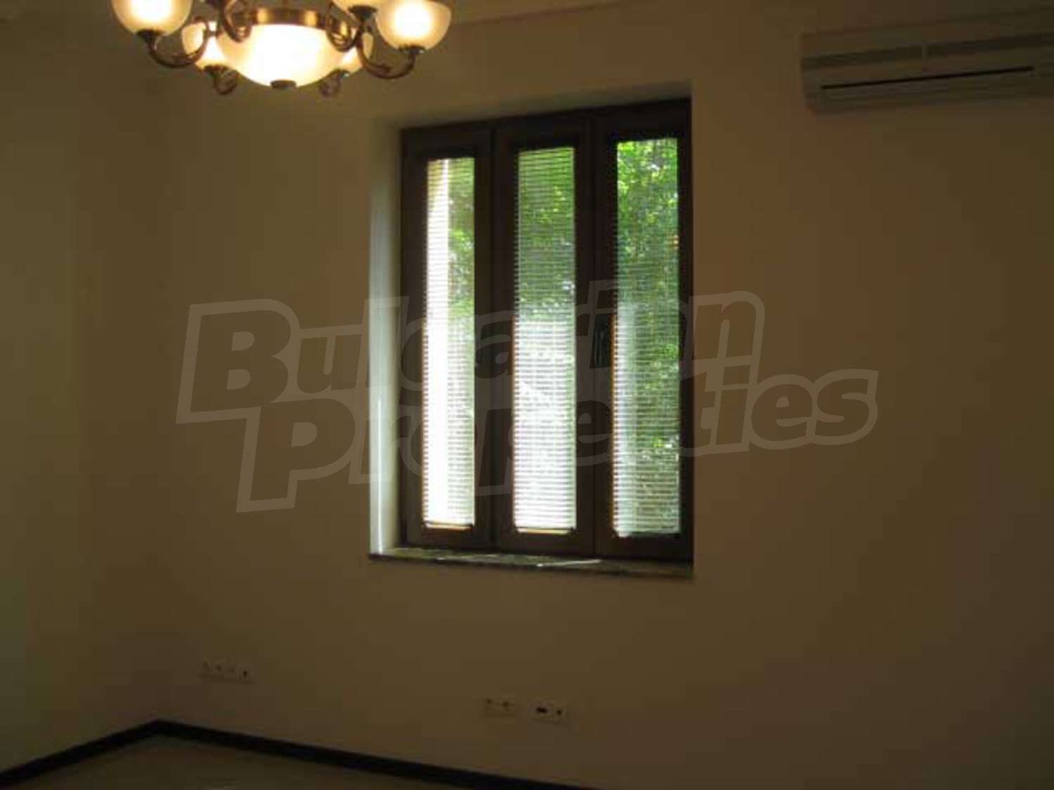 Gallery Picture 22